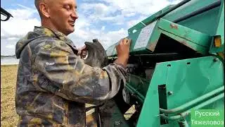 Каштан, Баланс.| Косим камыш. Саныч помогает.