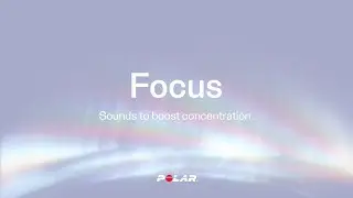 Polar Song | Focus