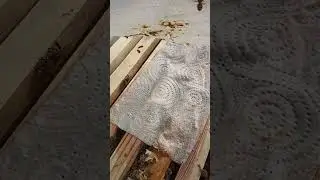 На пасеке производителя ульев из композита.