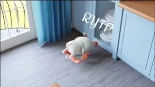 ББББ 4 RYTP БУБА РИТП ПУП 