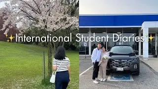 International student diaries | roaming around high park, buying our first car