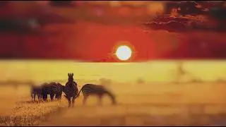 Інтерфейс
