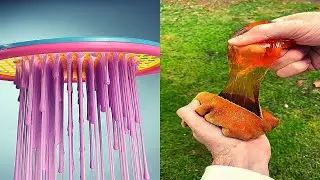 Oddly Satisfying Video to Relax