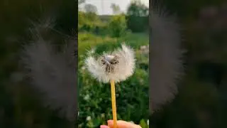 Счастье в простом...:) 🤍 #beauty #красота #весна