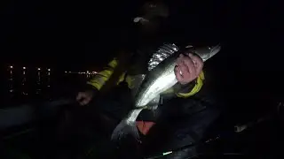 Выборгский залив. Дорожка. Судаки. День 1.