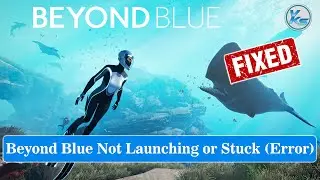 ✅ How To Fix Beyond Blue Launching The Game Failed, Black Screen, Not Starting, Stuck & Running