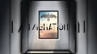 Migration - Radio Play