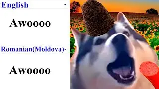 Awoooo in different languages meme