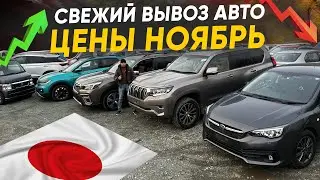 АКТУАЛЬНЫЕ ЦЕНЫ НА АВТО ИЗ ЯПОНИИ❗️ЖДЕМ ПАДЕНИЯ ЦЕН❓СВЕЖИЙ ВЫВОЗ❗️