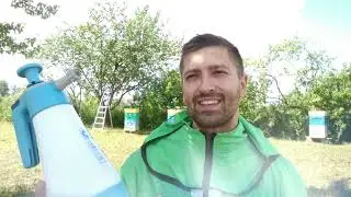 Как снять рой пчёл