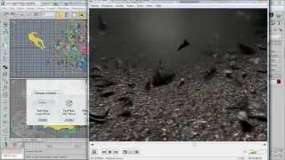 Introduction / Demo for video FX trainer