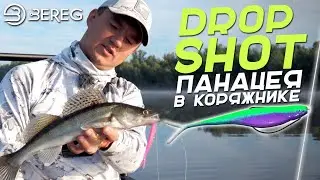 DROPSHOT panacea in snags? How to set the boat according to the echo sounder?