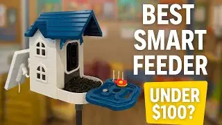 Furobag Smart Feeder Review – A Smart Feeder Under $100