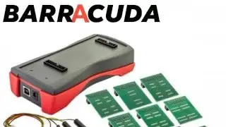 BARRACUDA