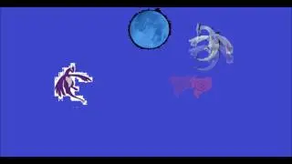 poke'mon vid