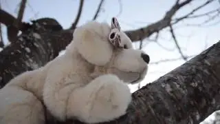 NOT ALONE [ WEBKINZ MUSIC VIDEO ]