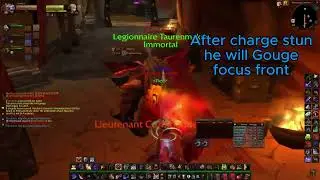 Turtle WoW - Warrior fight Rogue fc detail!