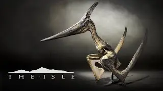 Птерчики на драйве #THEISLEEVRIMA