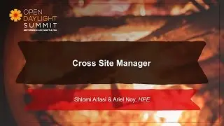 Cross Site Manager- Shlomi Alfasi & Ariel Noy