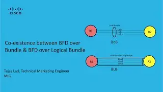 Coexistence Between BFD over Bundle and BFD over Logical Bundle