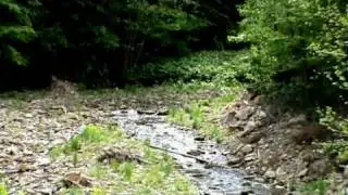 Sucevita mai 2010