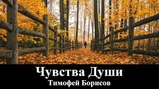 Тимофей Борисов 