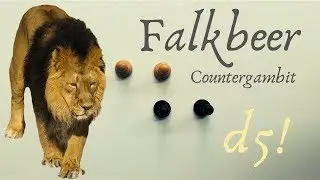 Falkbeer Countergambit | King’s Gambit Opening Theory
