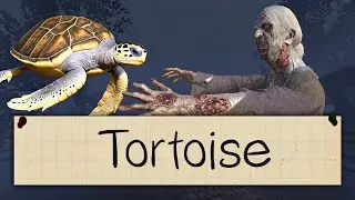 Tortoise Challenge | Phasmophobia