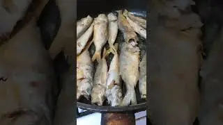 РЫБАЛКА В ЧЕРНОМ МОРЕ И ПРИГОТОВЛЕНИЕ СТАВРИДЫ НА СКОВОРОДЕ. РЕЦЕПТЫ СЮФ #гриль #еда #жаренаярыба