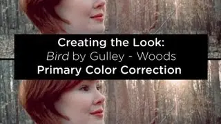 Creating the Look: Woods - Part 2: Primary Color Correction -  DaVinci Resolve 9
