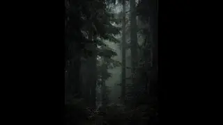 [FREE] xaviersobased + emotional jerk + sample type beat - "mellow"