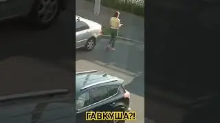 11 сентября 2024 г.
