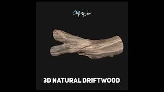 Driftwood 3D model 