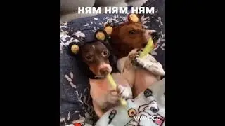 нарезка приколов #2