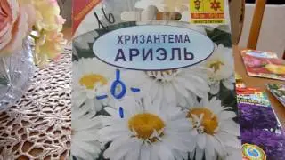 Обзор семян цветов для посева в открытый грунт. Цветочный калейдоскоп