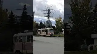 Трамвай 🚊 356
