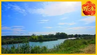 Летние зарисовки Красивая природа Музыка для души🌼🦋🌞🌳🐦