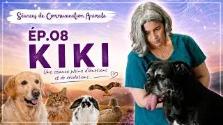 In an Animal Communication Session: 8 Kiki