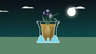 Mayne - Self Watering Planter