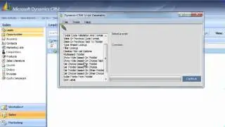 CRM Scripts: Set Picklist Based on Choice Script Example for Script Generator Product
