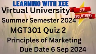 MGT301 Principles of Marketing Quiz 2 Summer 2024 Virtual University of Pakistan