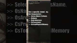 View System Info 