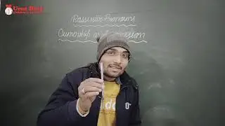 Day-7 Possessive Pronoun ELGA14 Class-5 24-11-2024. 