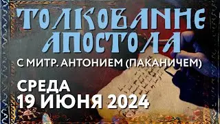 Среда, 19 июня 2024 года. Толкование Апостола с митр. Антонием (Паканичем).