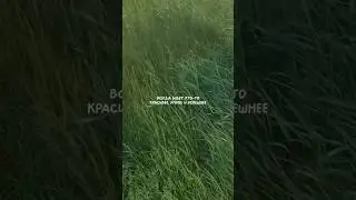никогда никто не будет тобой 💔