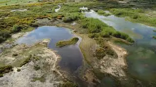 Greenham Common's Lake