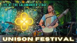Flint Blade • Live at Unison Festival 2024 • [Salamander Stage] • {live looping, Chapman Stick}