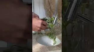 Quem nunca passou por isso? 😮‍💨 https://www.plantie.com.br/?utm_source=YTshorts