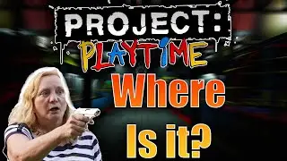 What Happened To Project: Playtime