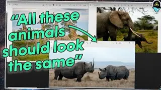 When You Don't Understand Evolution AT ALL